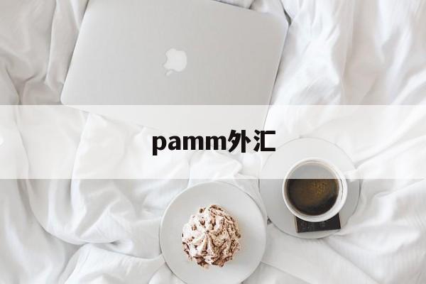 pamm外汇(外汇position)