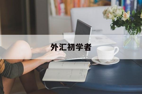 外汇初学者(外汇新手快速入门)